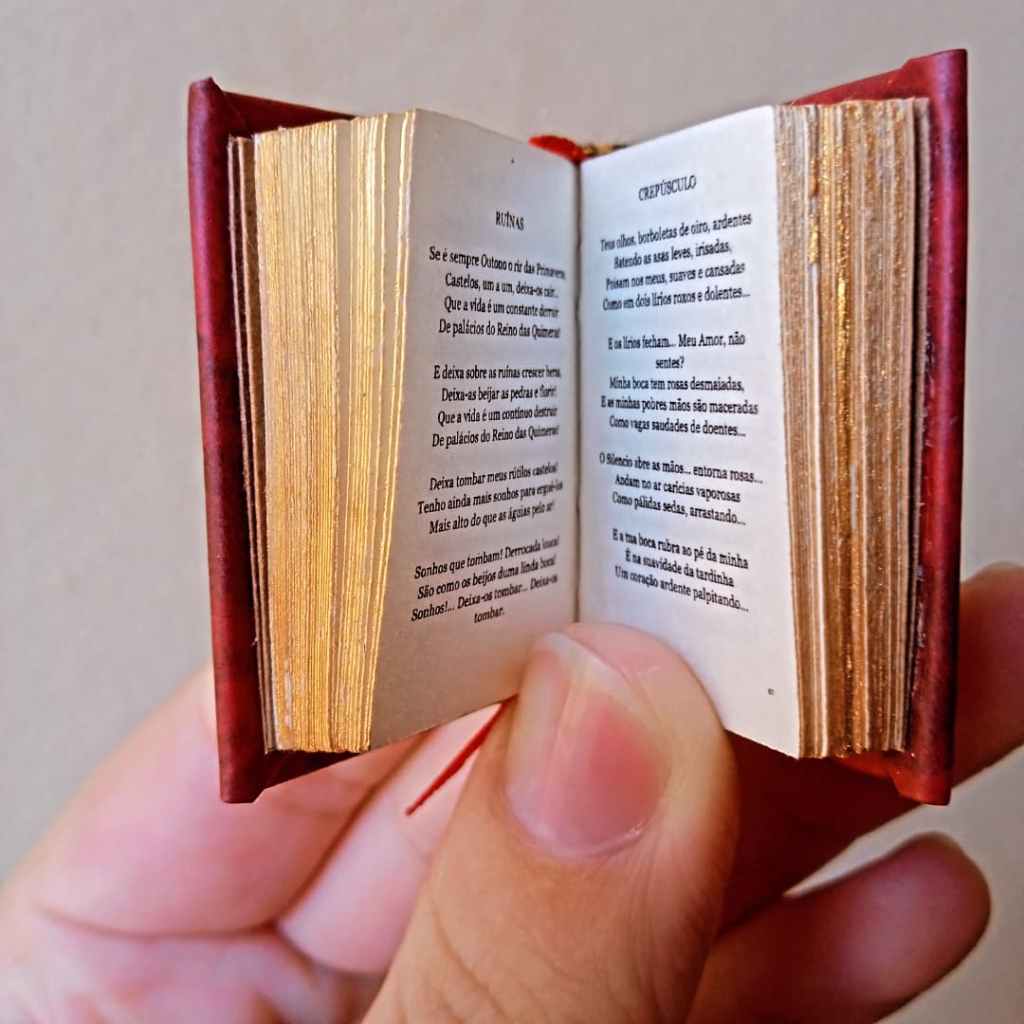 Uruguaiana ganha editora de mini&nbsp;livrinhos